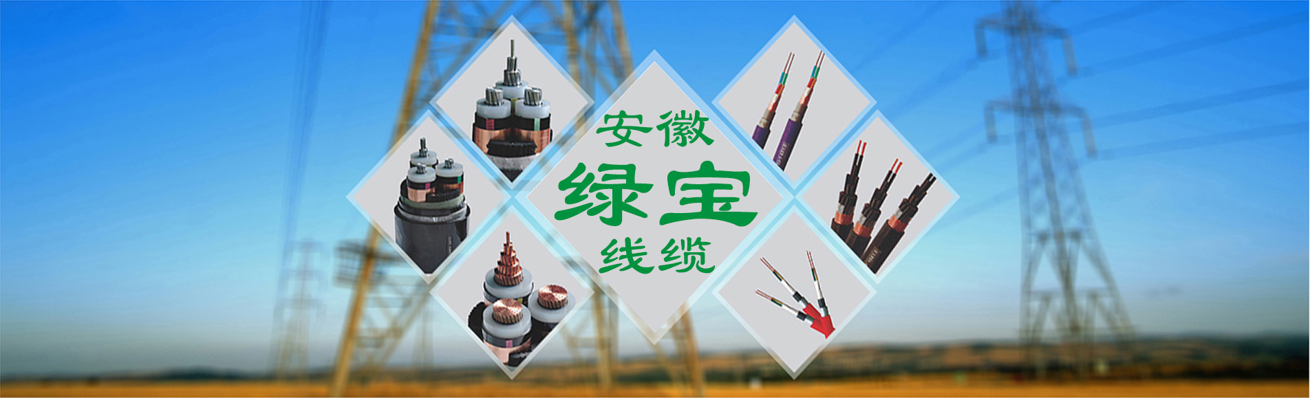 绿宝特种完美体育·（中国）官方网站:0551-64203668